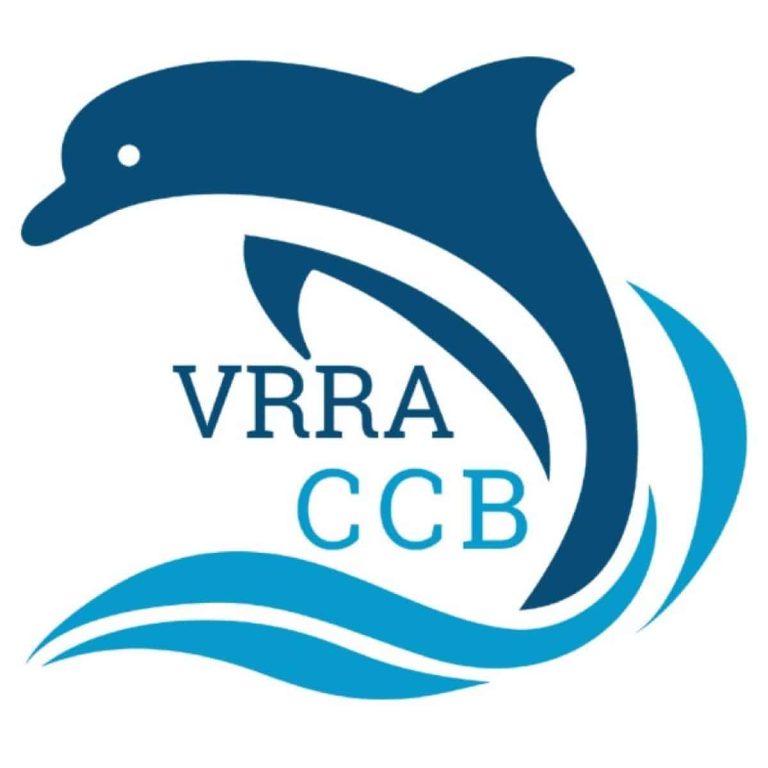 Logo 1200 630 fb