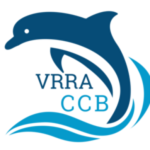 Cropped logo 150 sq.png