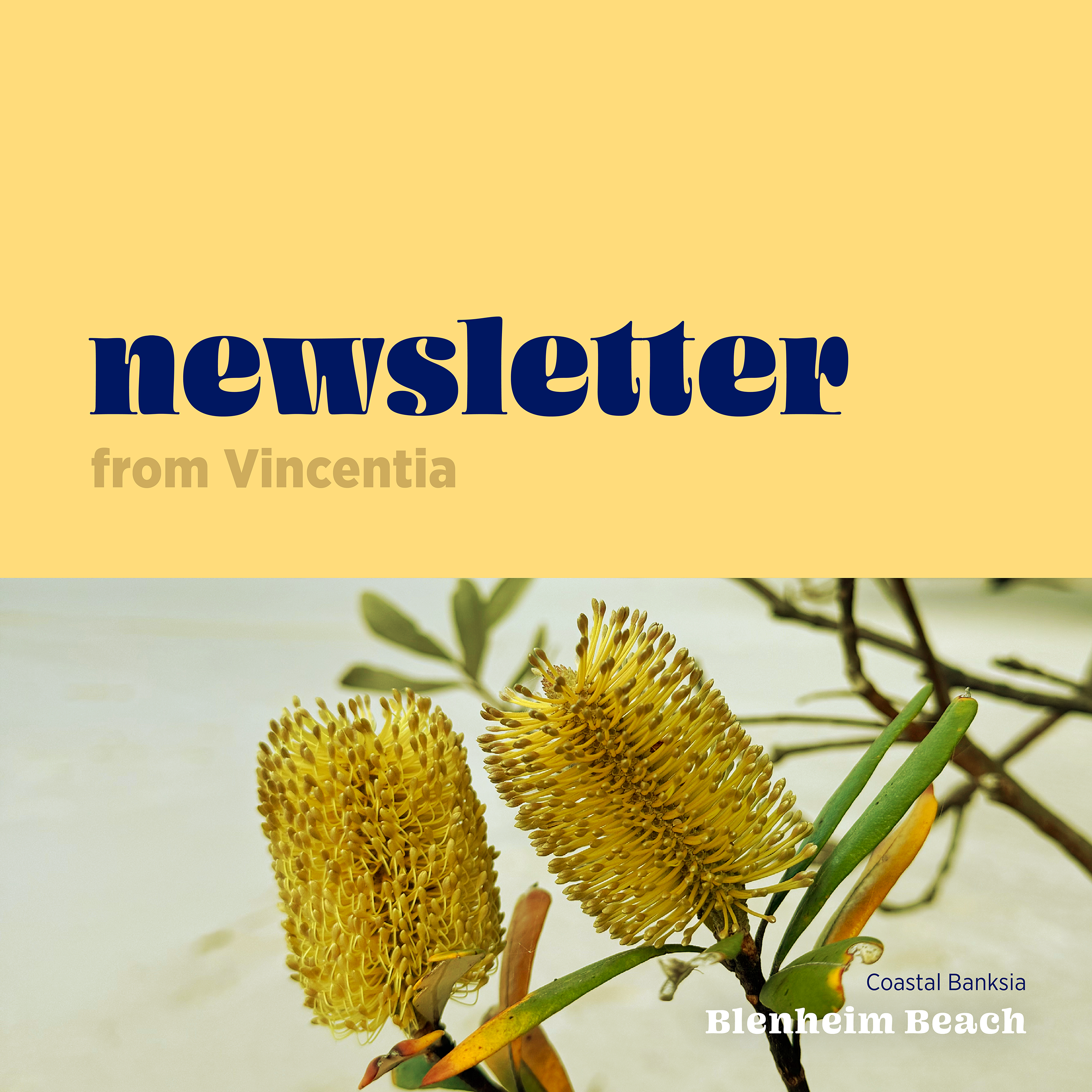 Read more about the article Newsletter – March 2026